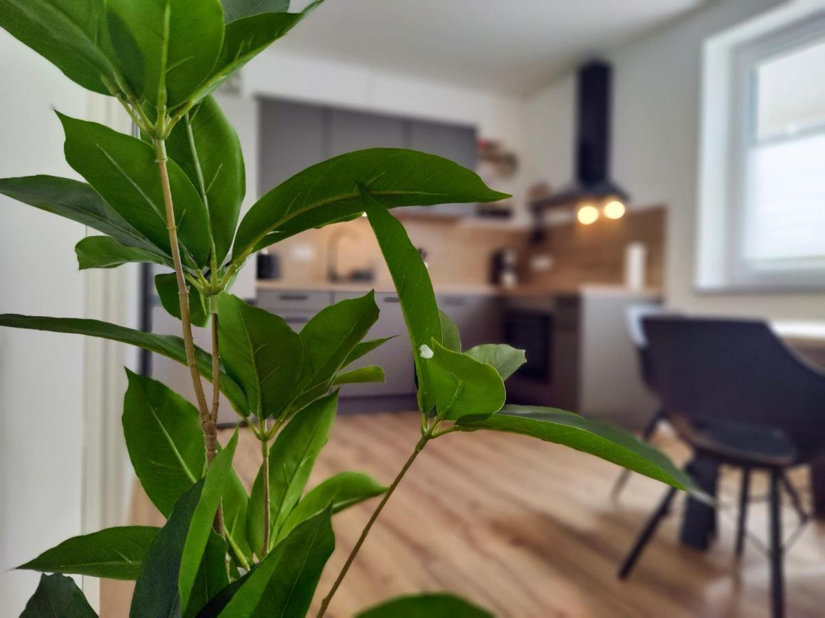 Hygge Home - Mit Garten Und Stellplatz Fuer Feriengaeste-, Monteure / Netflix / 10 Min. Zur Sinsheim Therme Und Zur Autobahn Exteriör bild