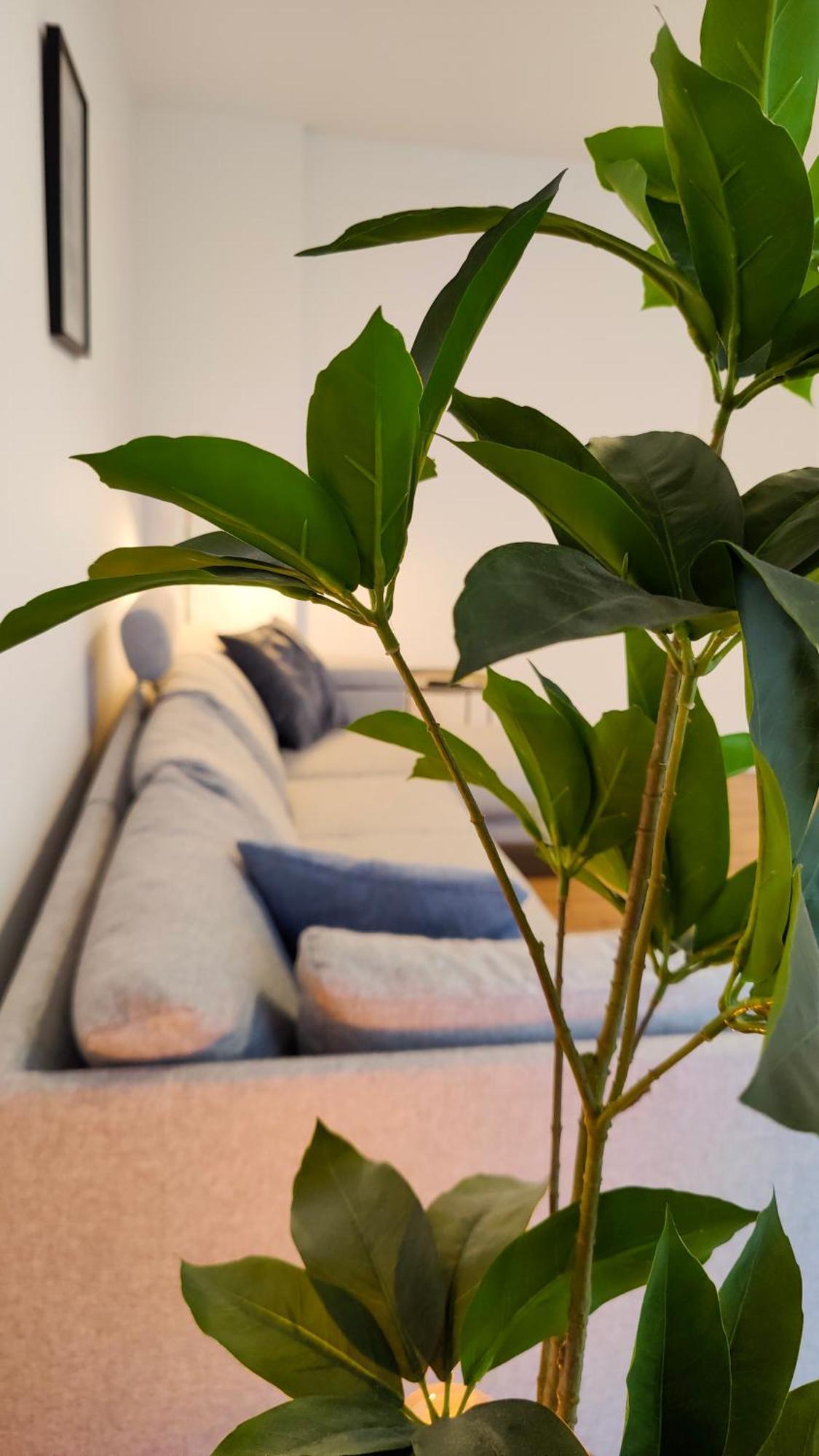 Hygge Home - Mit Garten Und Stellplatz Fuer Feriengaeste-, Monteure / Netflix / 10 Min. Zur Sinsheim Therme Und Zur Autobahn Exteriör bild